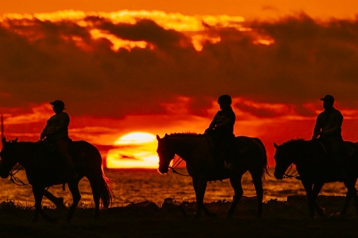 Three people on horseback silhouetted against a vibrant orange sunset over the ocean.