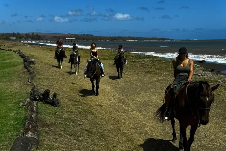 Five people horseback riding along a coastal path with ocean in background under a clear blue sky.