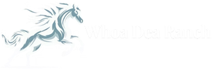 Illustration of a galloping horse with the text 'Whoa Deal Ranch'.