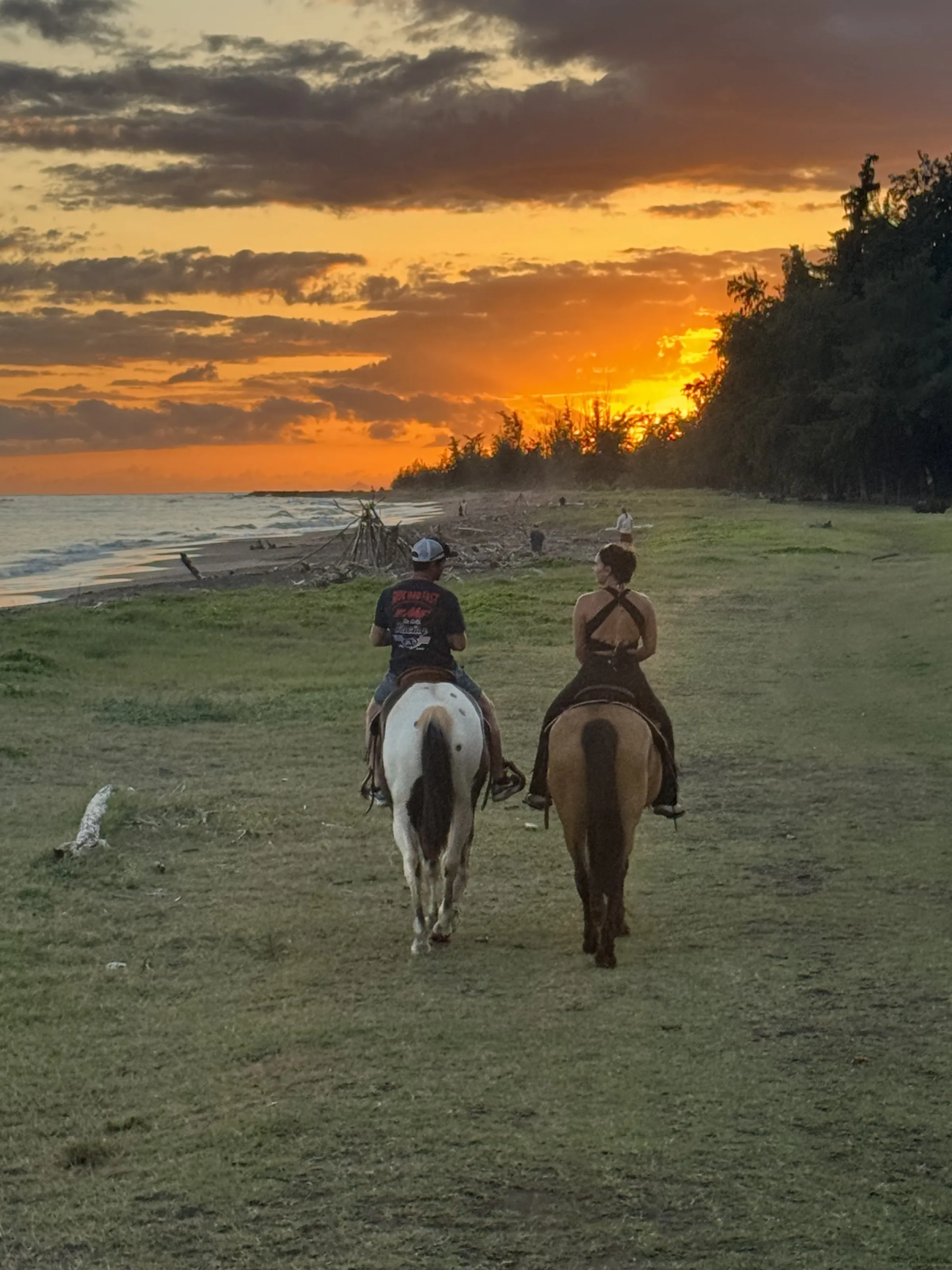 Two people riding horses in a field at sunset.