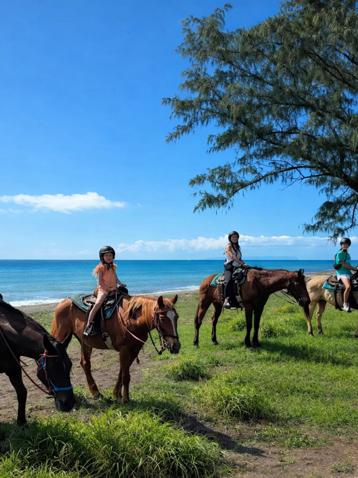 Four people ride horses near a beach under a clear blue sky.