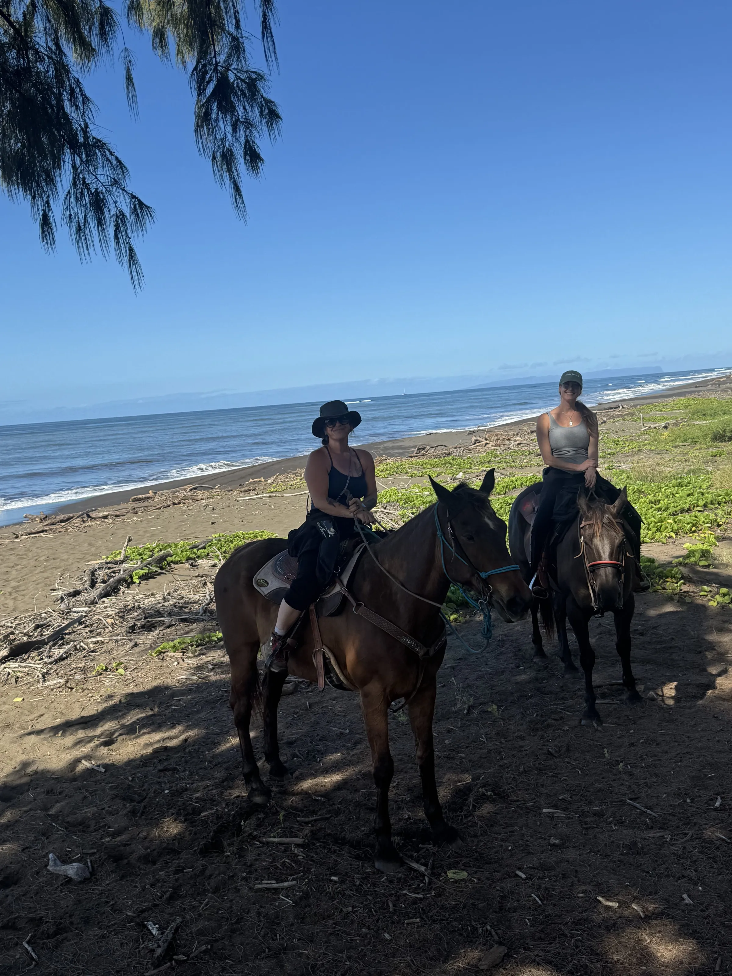 Two people on horses by the beach under clear blue sky.