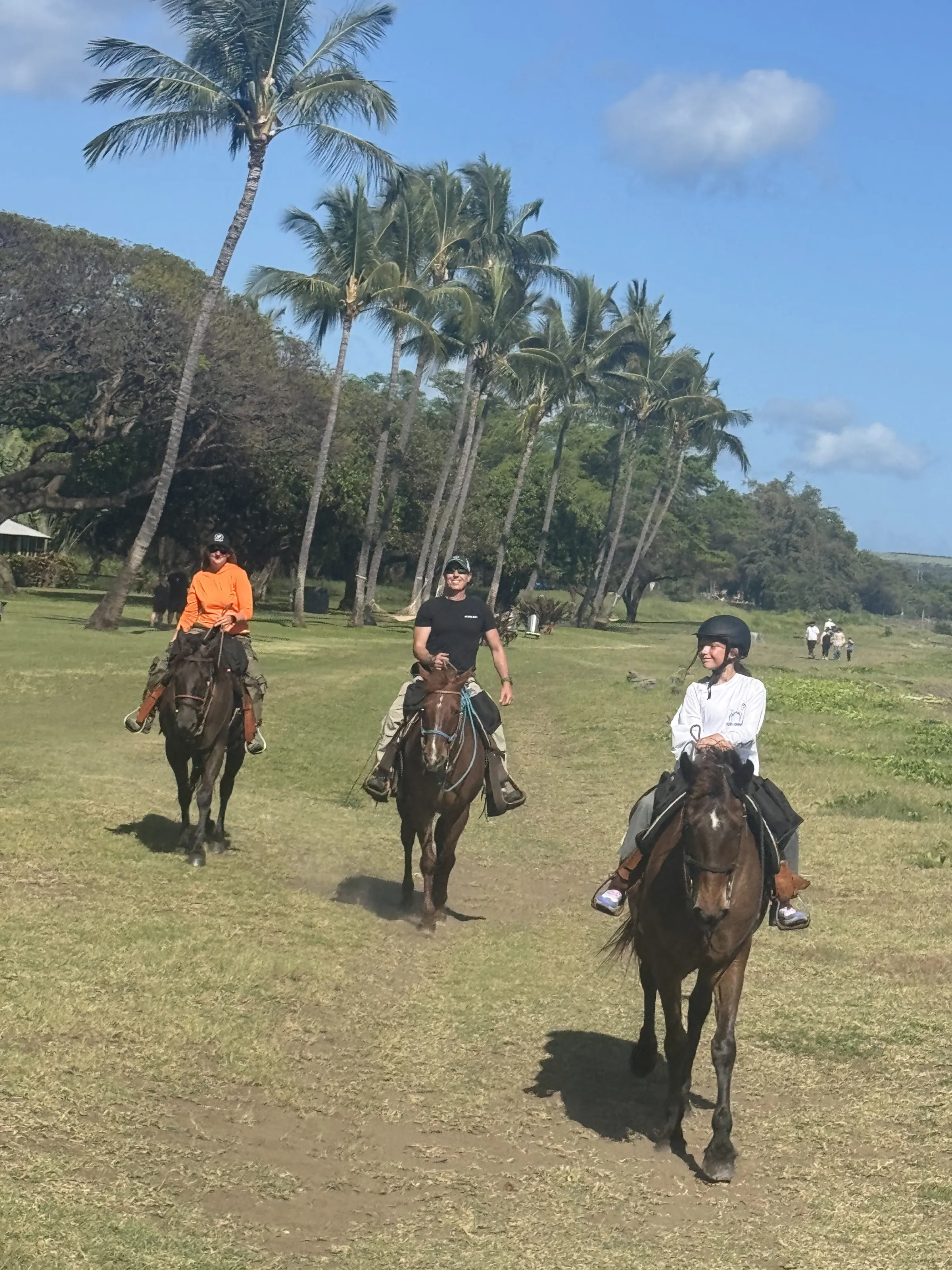Three people horseback riding on a grassy field with palm trees.