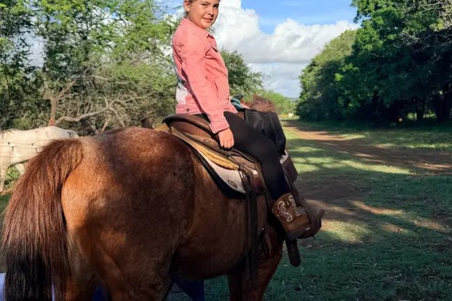 Child riding a brown horse on a sunny day with trees in the background.